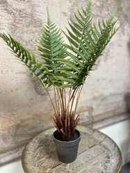 Artificial Large Fern