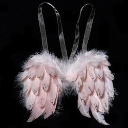 Soft Pink Mini Wings