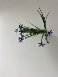 Artificial Purple Mini Grass Plant