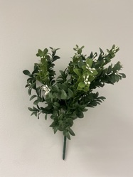 Artificial White Tipped Boxwood Plant
