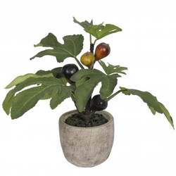 Artificial Interior Potted Fig Plant