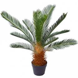Artificial 70cm Cycas Palm Plant