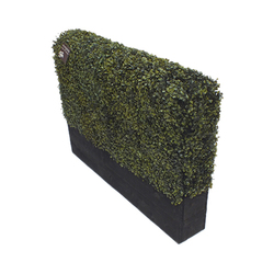 Artificial Deluxe Boxwood Hedge in Timber Trough